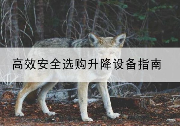 新郑升降货梯厂家推荐-*安全选购升降设备指南