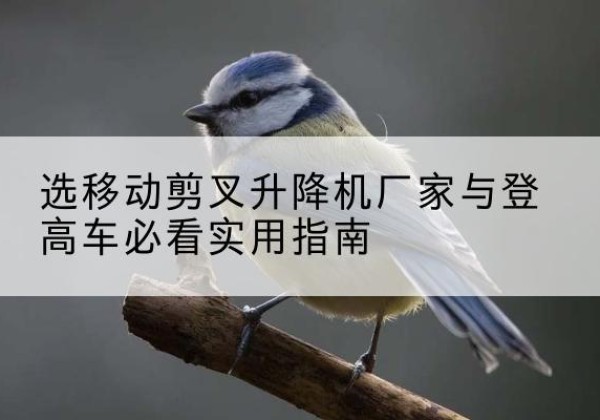 新郑电动升降机厂家-选移动剪叉升降机厂家与登高车必看实用指南