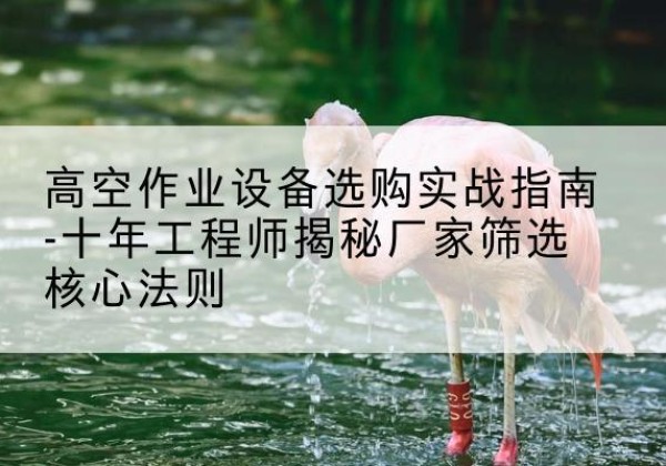 新郑剪叉式升降机厂家-高空作业设备选购实战指南-十年工程师揭秘厂家筛选核心法则